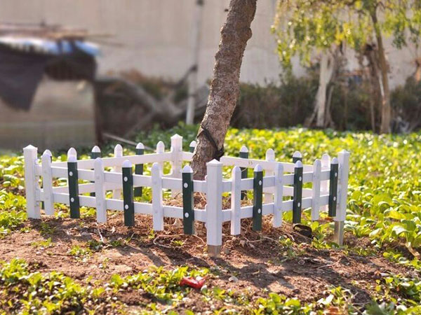 PVC草坪护栏图片4